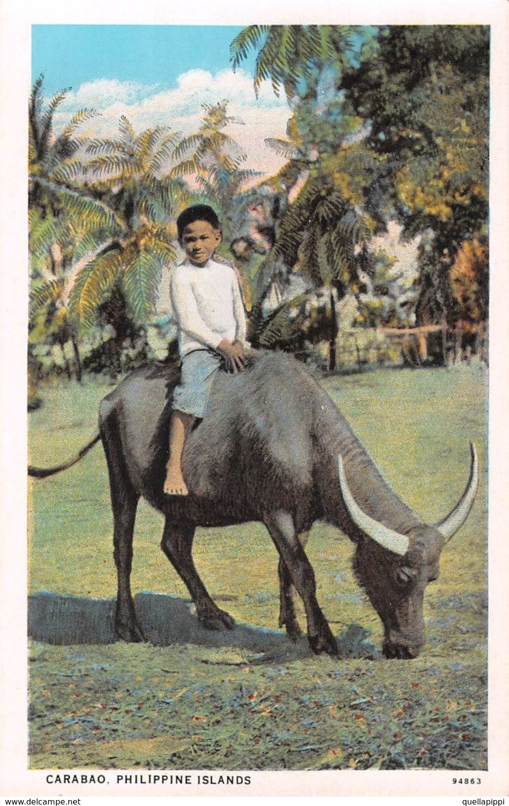 D6247 "FILIPPINE - CARABAO - PHILIPPINE ISLANDS"  ANIMATA, BAMBINO  CON BUE. CART  NON  SPED - Filippine