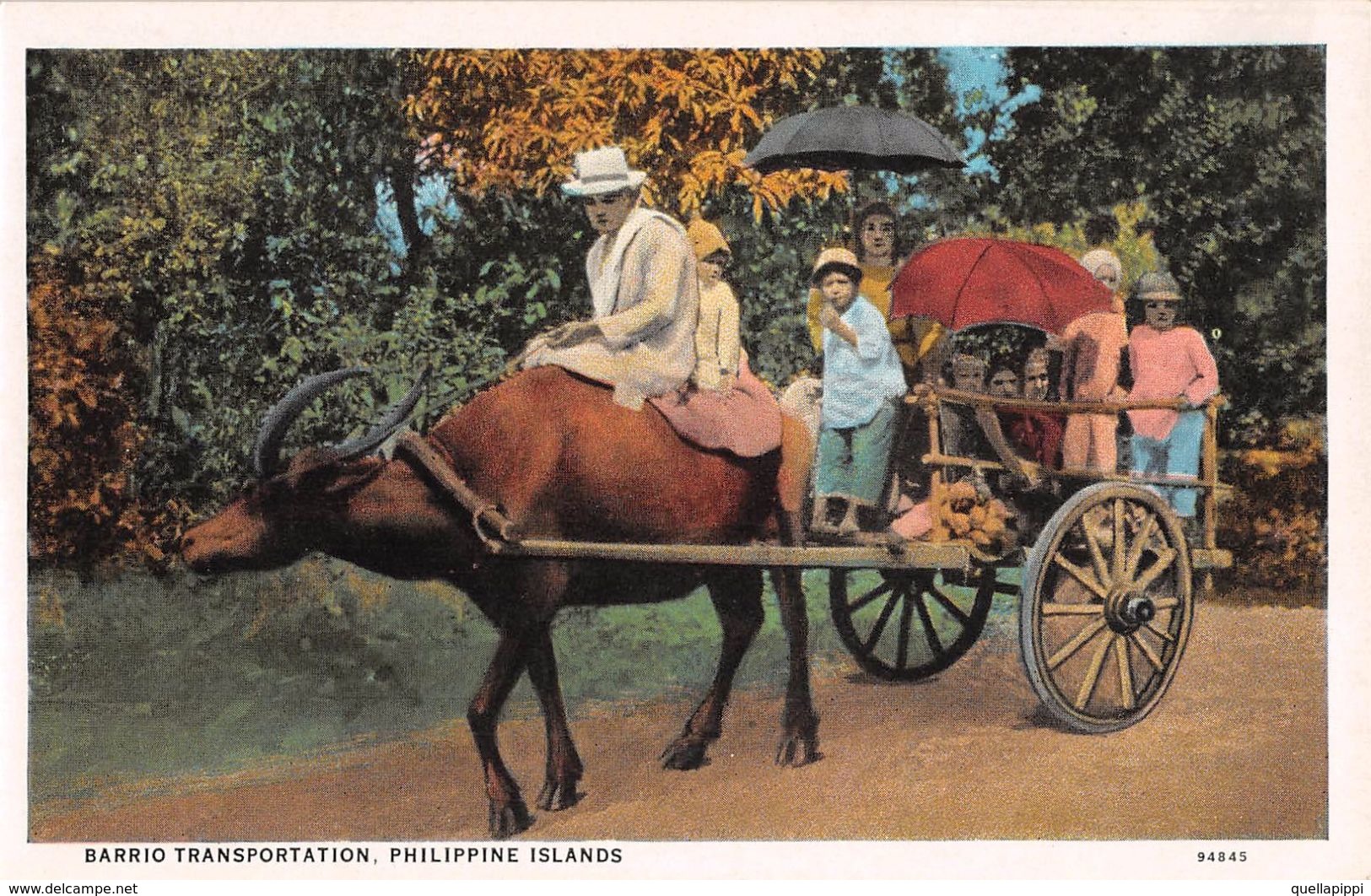 D6248 "FILIPPINE - BARRIO TRANSPORTATION - PHILIPPINE ISLANDS"  ANIMATA, CARRO CON BAMBINI E BUE. CART  NON  SPED - Filippine