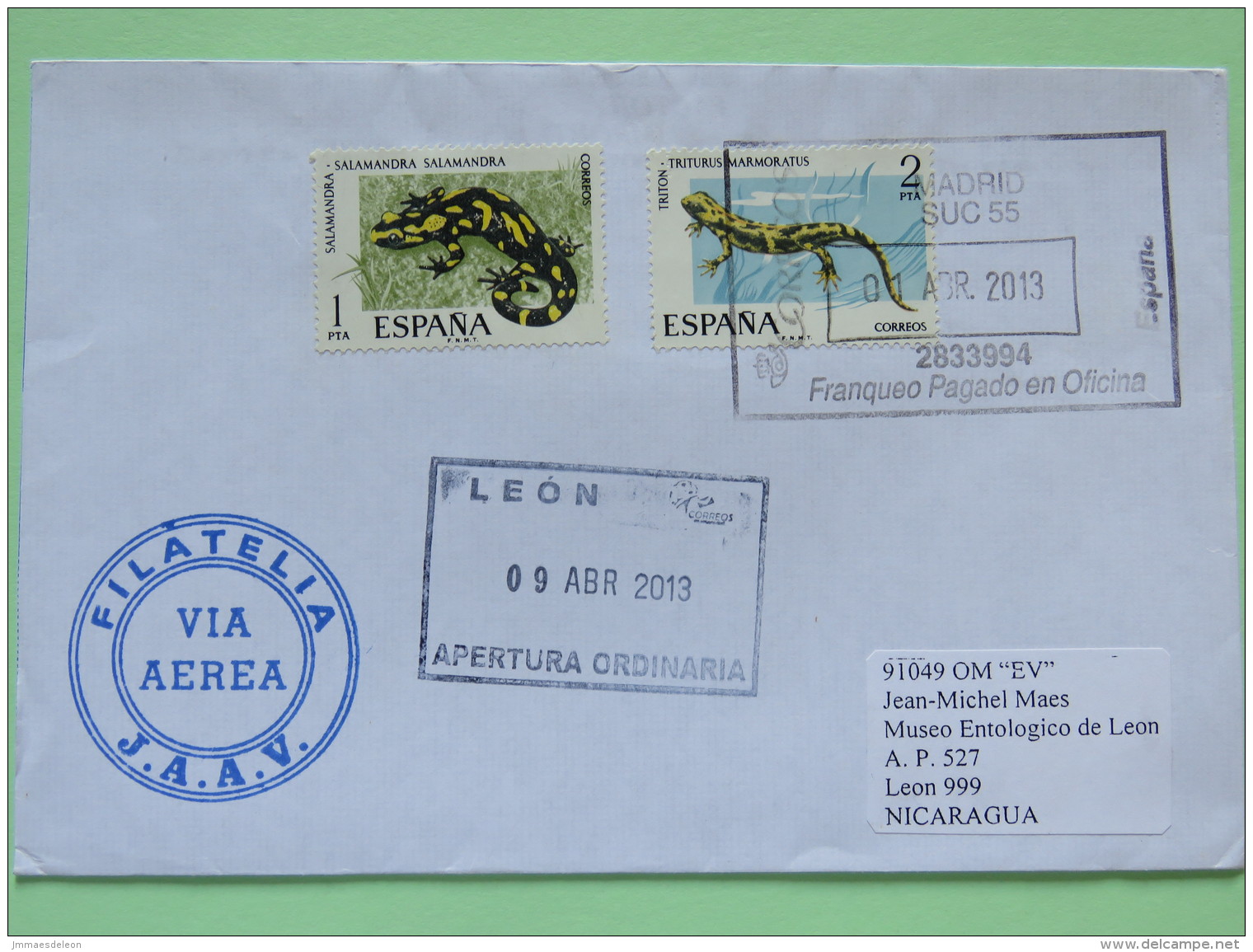 Spain 2013 Cover Madrid To Nicaragua - Salamandra Amphibians - Lettres & Documents