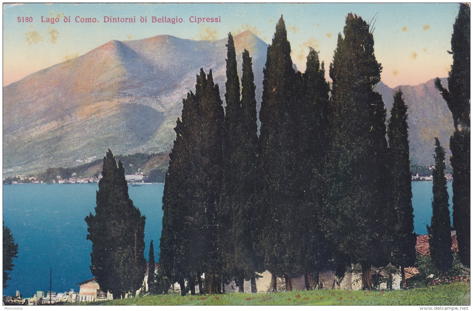 Lago Di Como - Dintorni Di Bellagio - Cipressi (5180) - Como