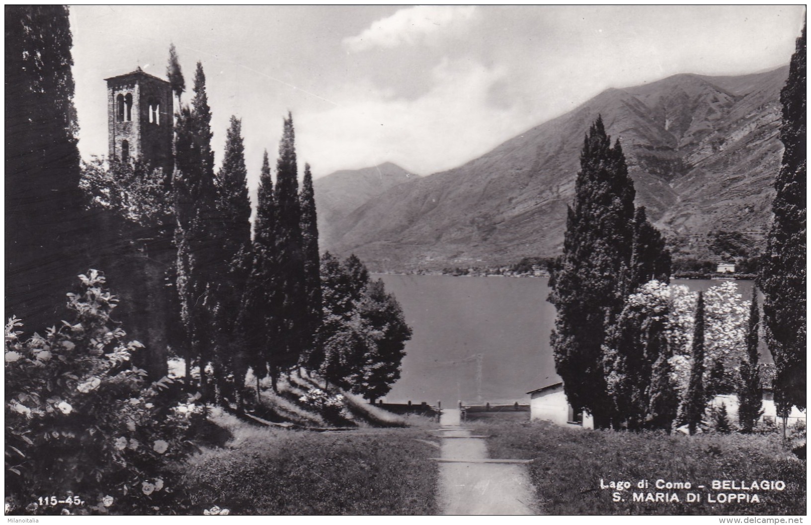 Lago Di Como - Bellagio - S. Maria Di Loppia (115-45) - Como