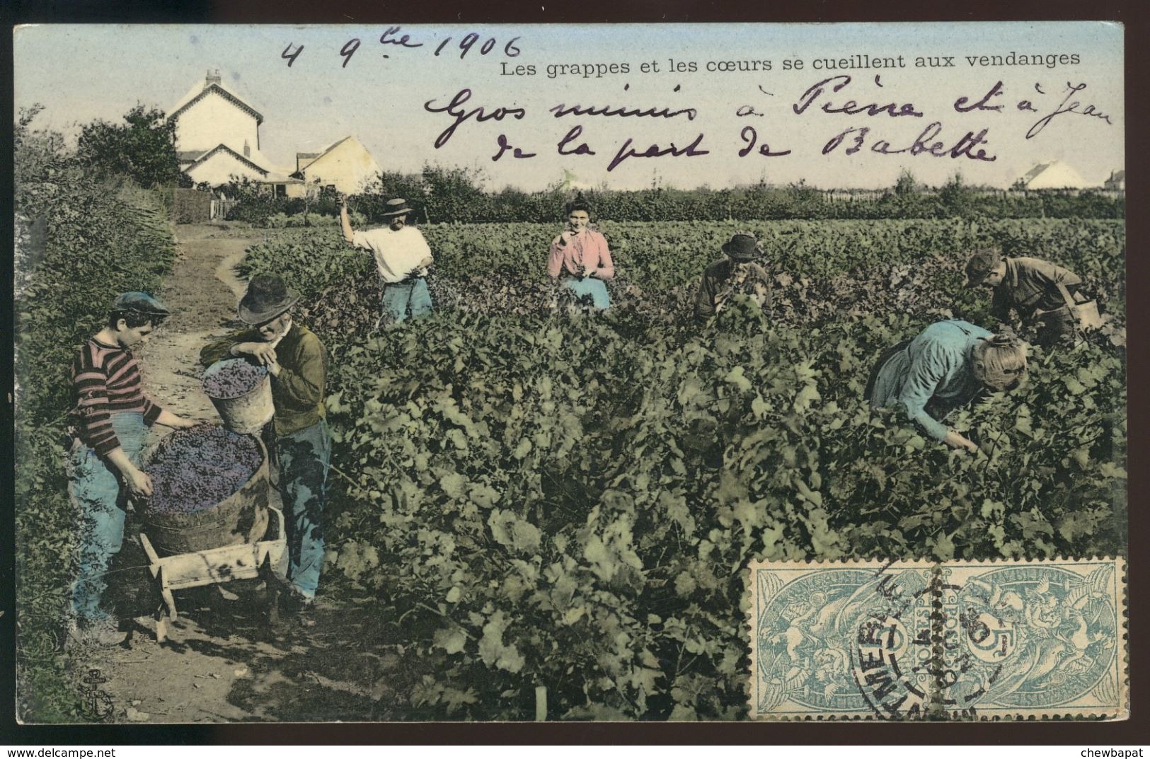 Les Grappes Et Les Coeurs Se Cueillent Aux Vendanges - Vigne