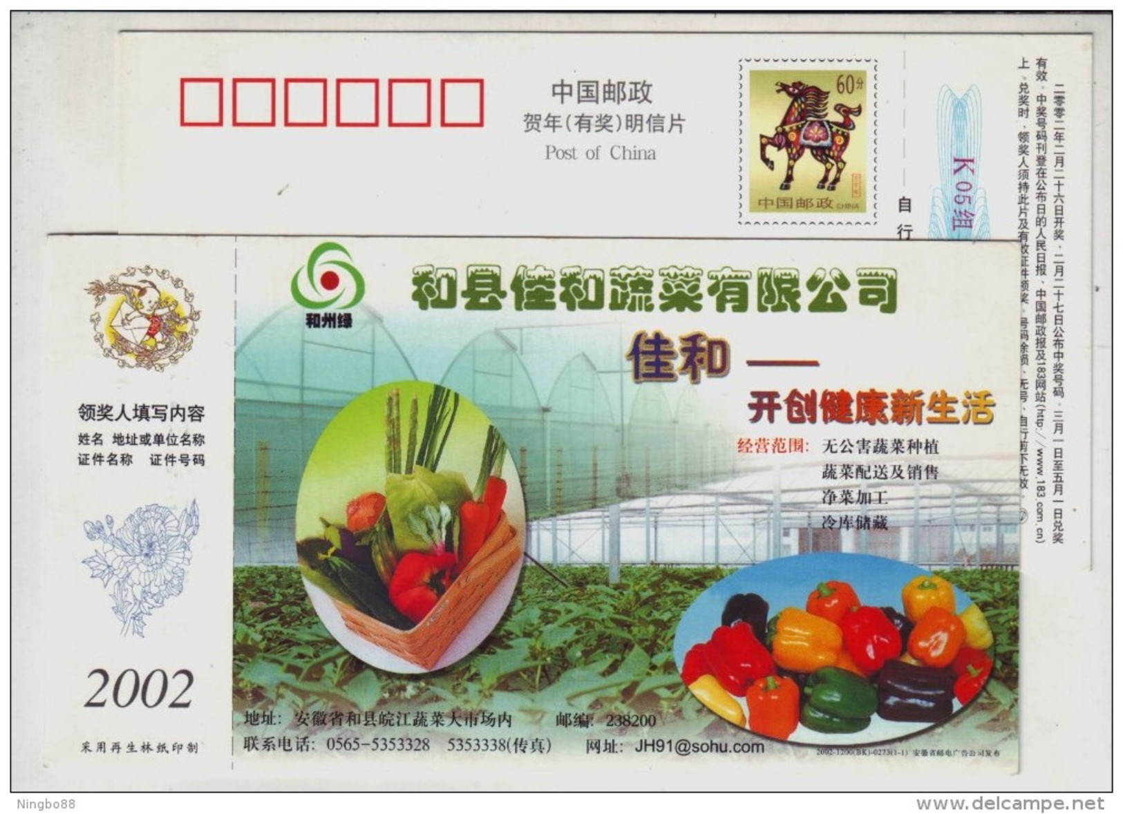 Greenhouse Bell Pepper,cucumber,carrot,CN 02 Jiahe Non-environmental Pollution Vegetable Company Pre-stamped Card - Groenten