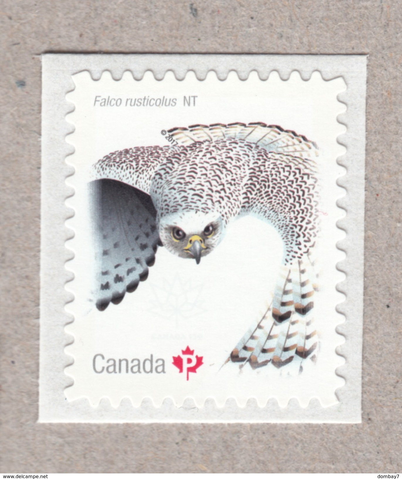 FALCON, GYRFALCON, BIRD OF PREY Stamp From Booklet Birds Of Canada 2017 - Aigles & Rapaces Diurnes