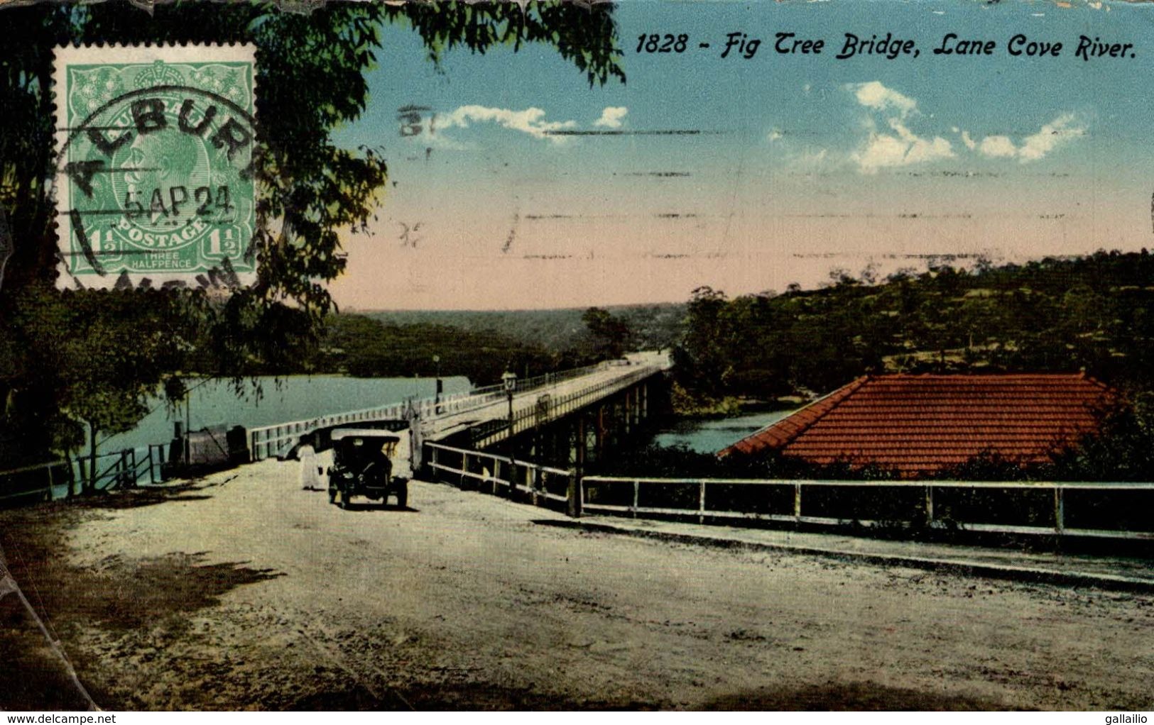 AUSTRALIE FIG TREE BRIDGE LANE COVE RIVER - Albury