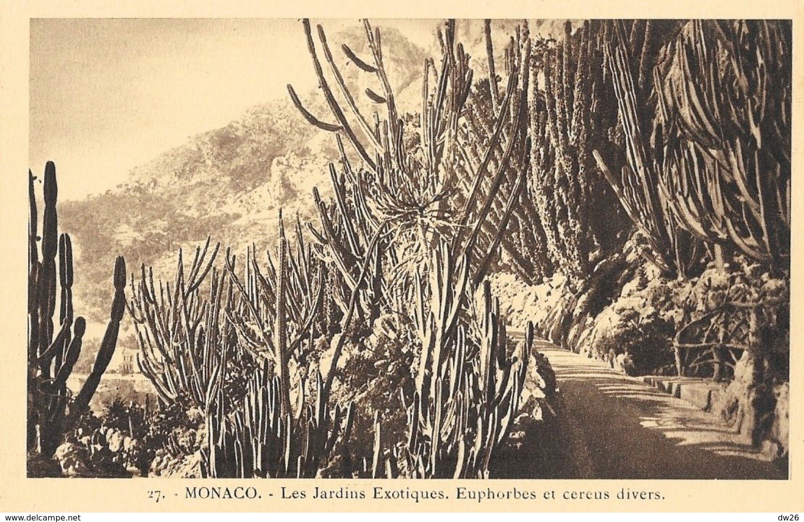 Monaco, Lot De 3 Cartes La Cigogne Non Circulées - Les Jardins Exotiques: Euphorbes, Cereus, Cactus... - Exotic Garden