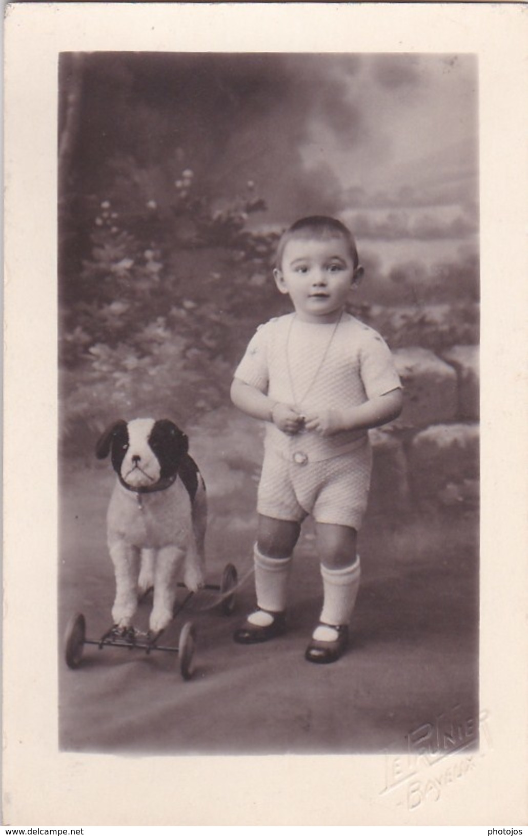 Carte Photo : Bébé Avec Son Chien (fox) à Roulettes      Cachet à Sec Du Photographe Prunier De Bayeux (14) - Autres & Non Classés