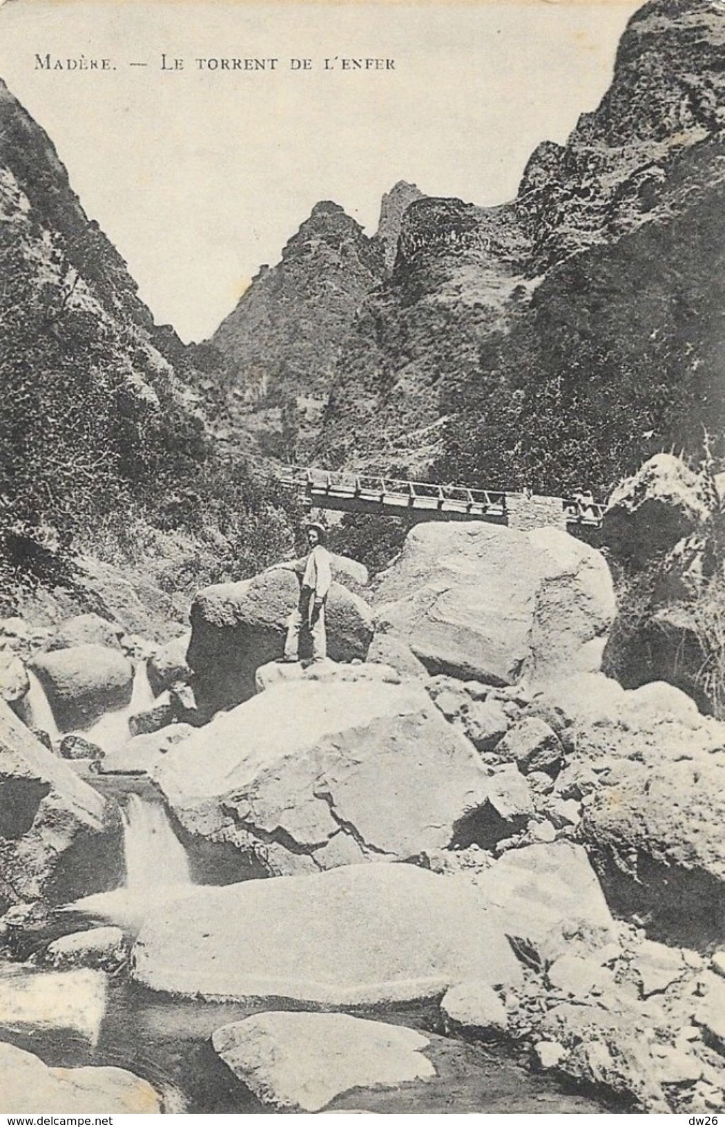 Madeira - Madère: Gorges Le Torrent De L'Enfer - Photo Francisc. Miss - Carte Non Circulée - Madeira