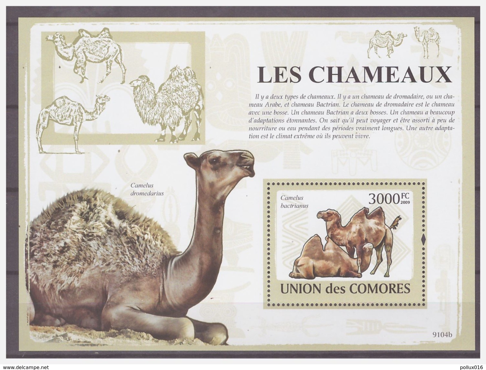 0379 Comores 2009 Kameel Camel Chameaux S/S MNH - Autres & Non Classés