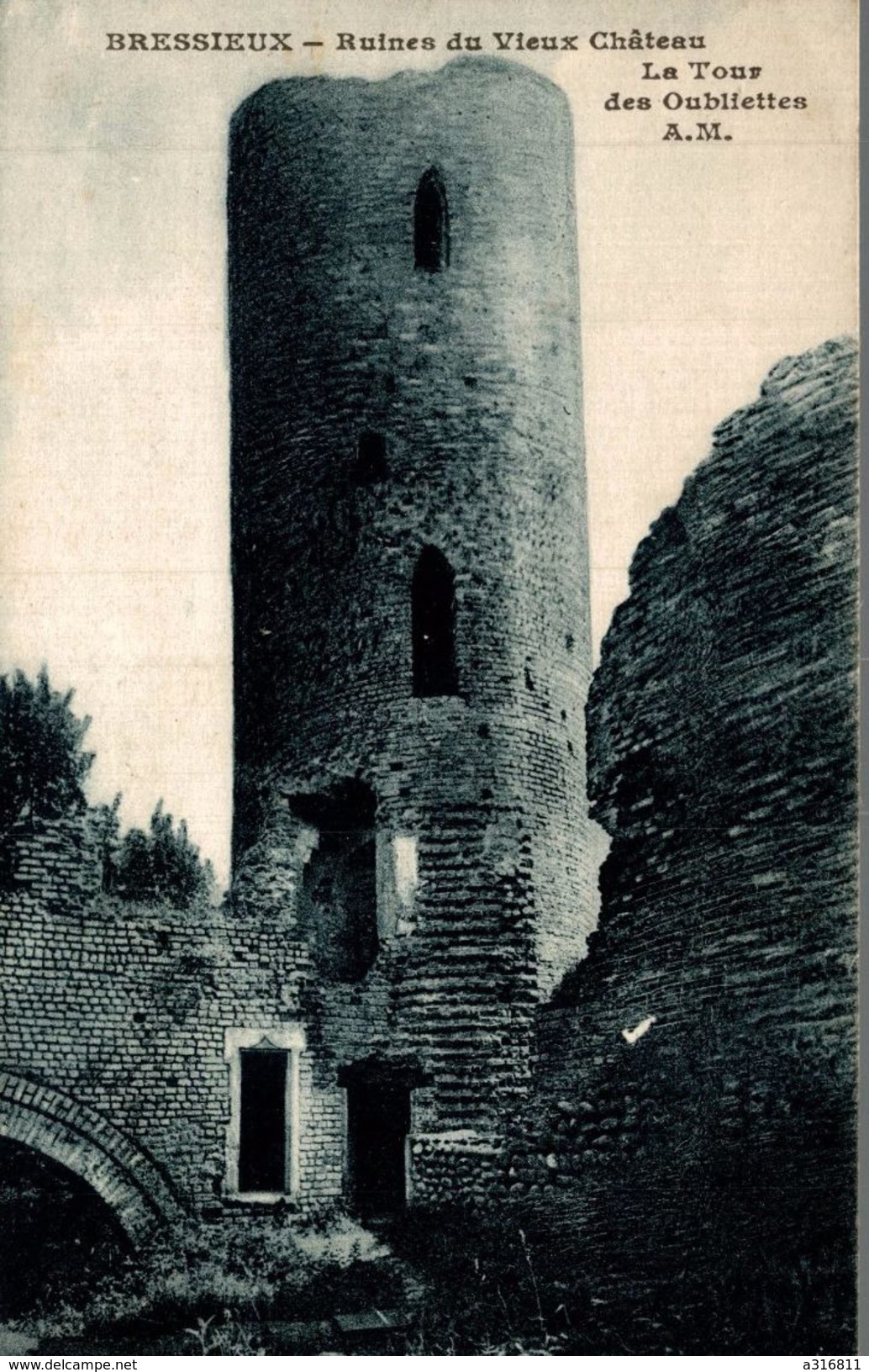 BRESSIEUX RUINES DU VIEUX CHATEAU LA TOUR DES ENVIRONS D ALLEYRAS VABRES AVEC SA PLAINE MAGNIFIQUE OUBLIETTES - Bressieux