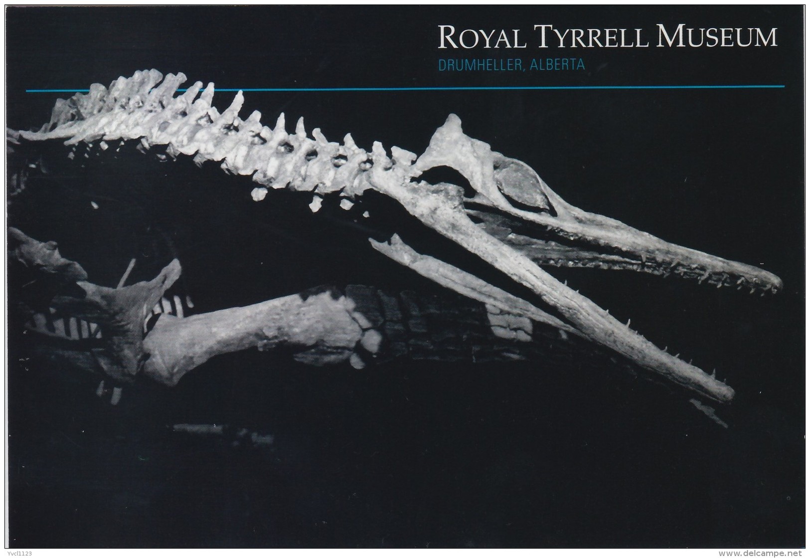 Royal Tyrrell Museum At Drumheller, Alberta, Trinacromerum (*) (PC255) - Museum