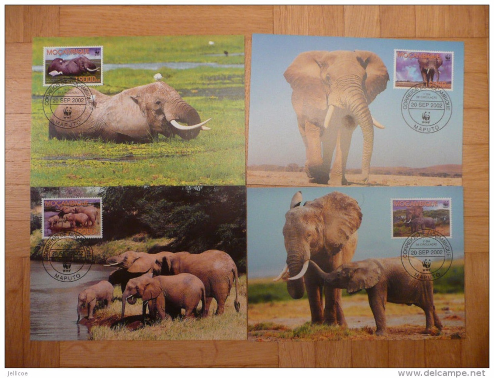 WWF Mocambique Mozambique Savannah Elephant Elefant Oliphanten 2002 4 CM MC MK Maxi Maximum Carte Card Maxicards - Maximumkarten