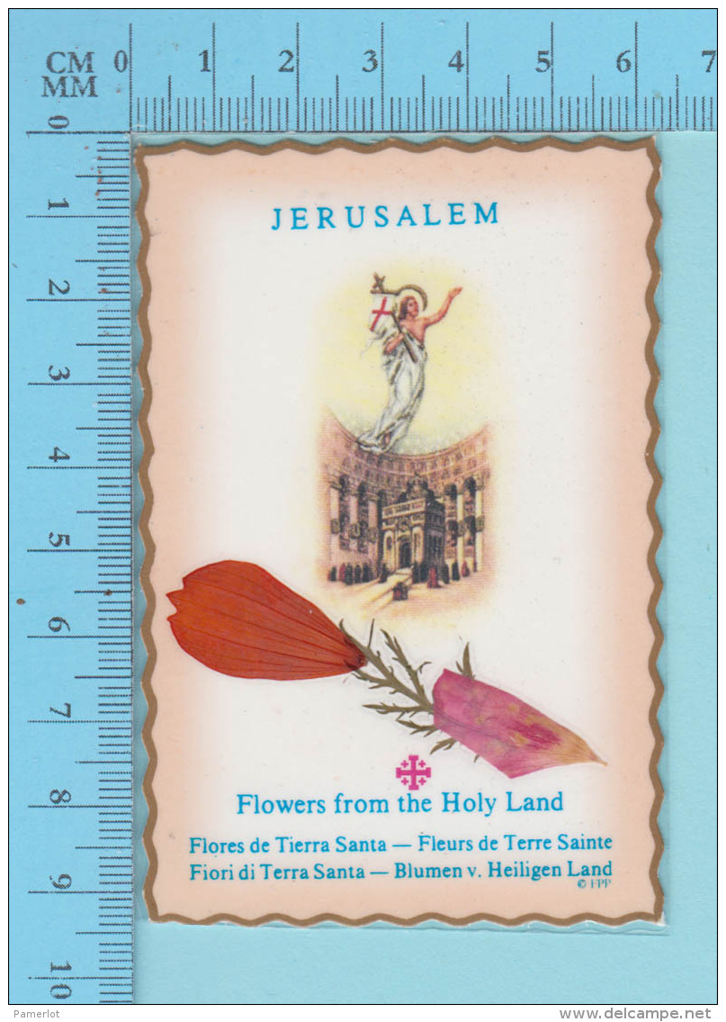 Image Reliquaire - Relique  Flowers From The Holy Land -   Reliquia Relic - 2 Scans - Religion & Esotérisme