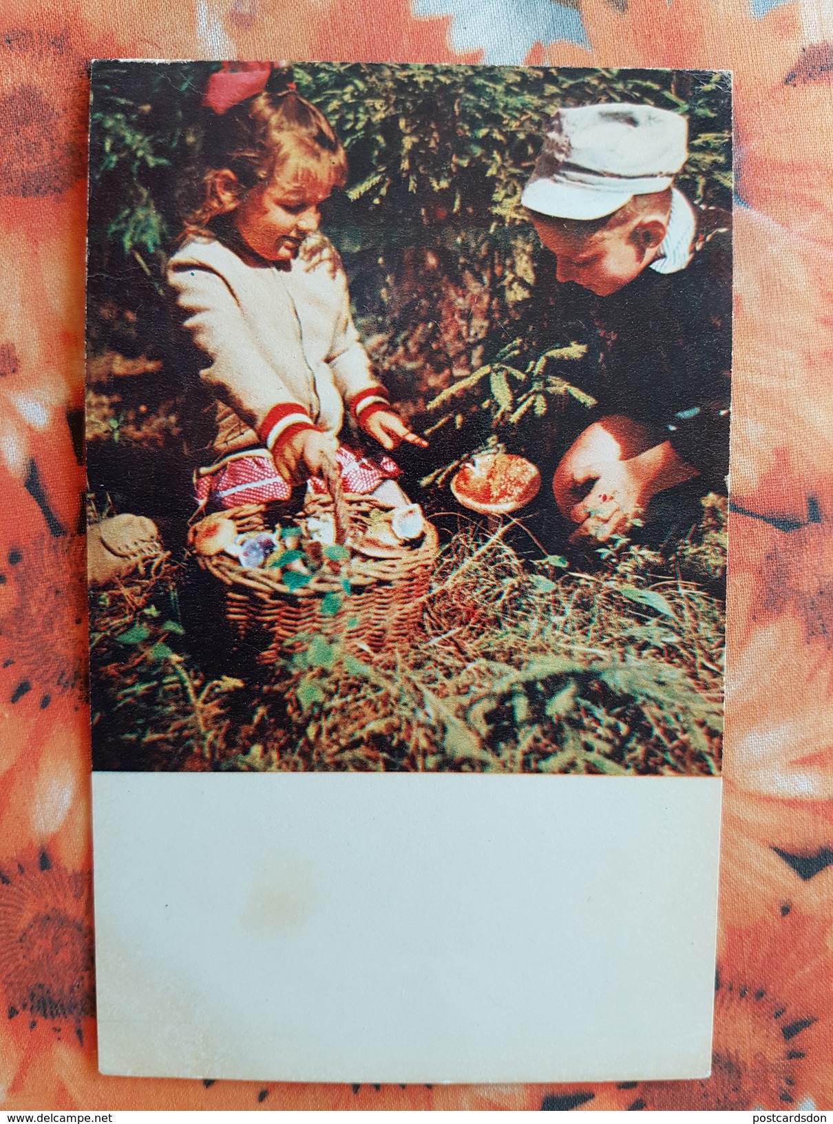 CHILDREN - Mushroomers -  Champignon - OLD Postcard - MUSHROOM 1969 - Hongos