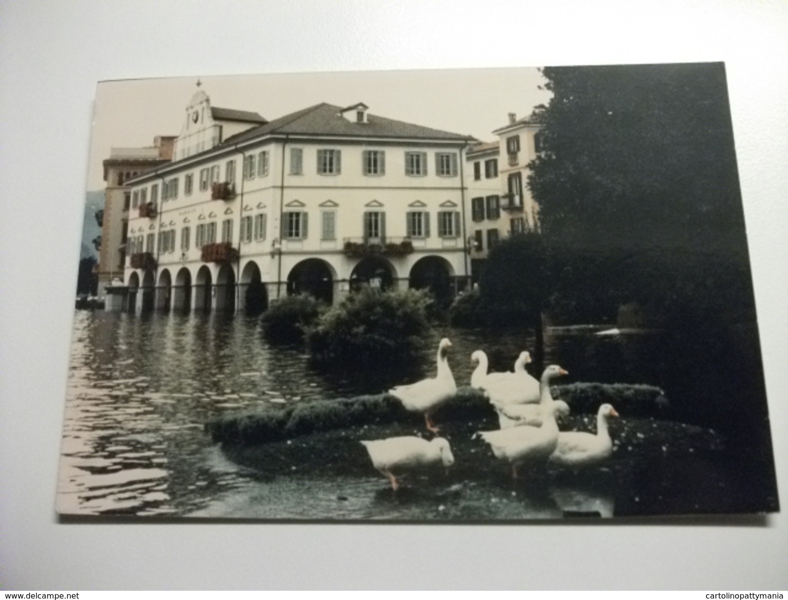 L'alluvione Dell'ottobre 1993 Verbania Lago Maggiore FOTOGRAFICA FOTO CLAUDIO FOGLI ED. PONY EXPRESS VERBANIA PALLANZA - Inondazioni