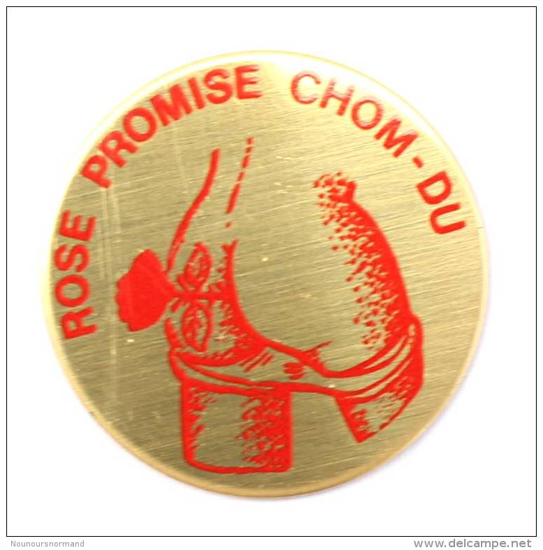 Pin's Politique ... ROSE PROMISE CHOM DU - Rose Socialiste - Fesses Nues  -  G698 - Autres & Non Classés