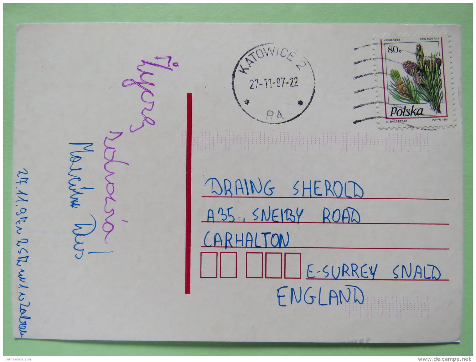 Poland 1997 Postcard Katowice To England - Pinecones Pinus - Covers & Documents