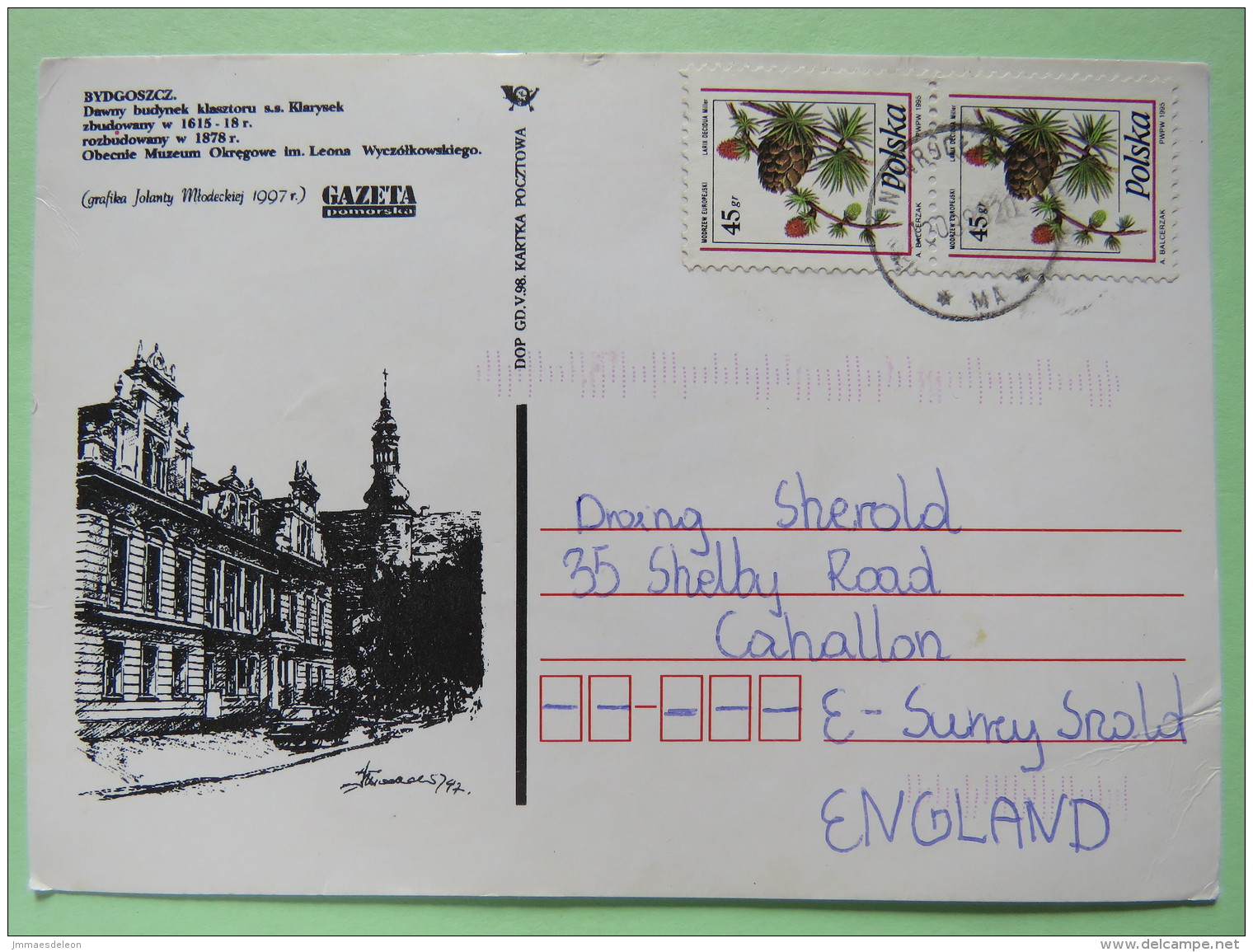 Poland 1998 Postcard Bydgoszcz Gazeta To England - Pinecones Larix - Covers & Documents