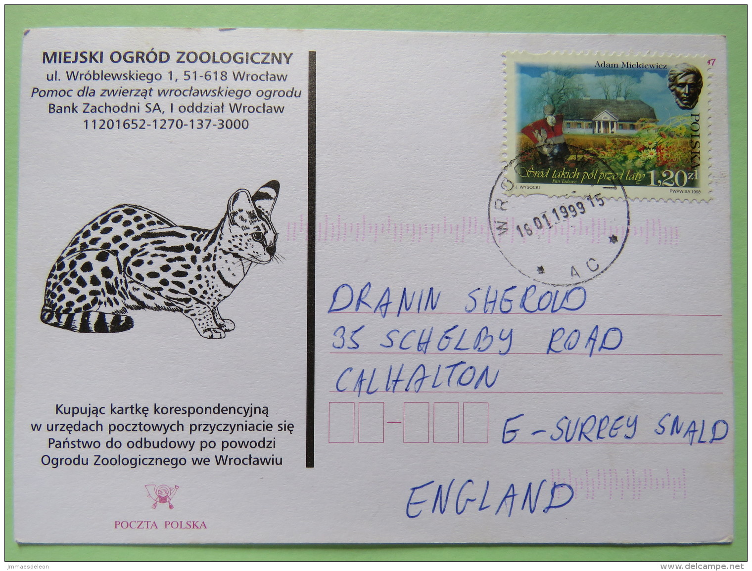 Poland 1999 Postcard Miejski Ogrod Zoo (wild Cat ? Or Genet) - Wroclaw To England - Adam Mickiewicz Poet Writer - Covers & Documents