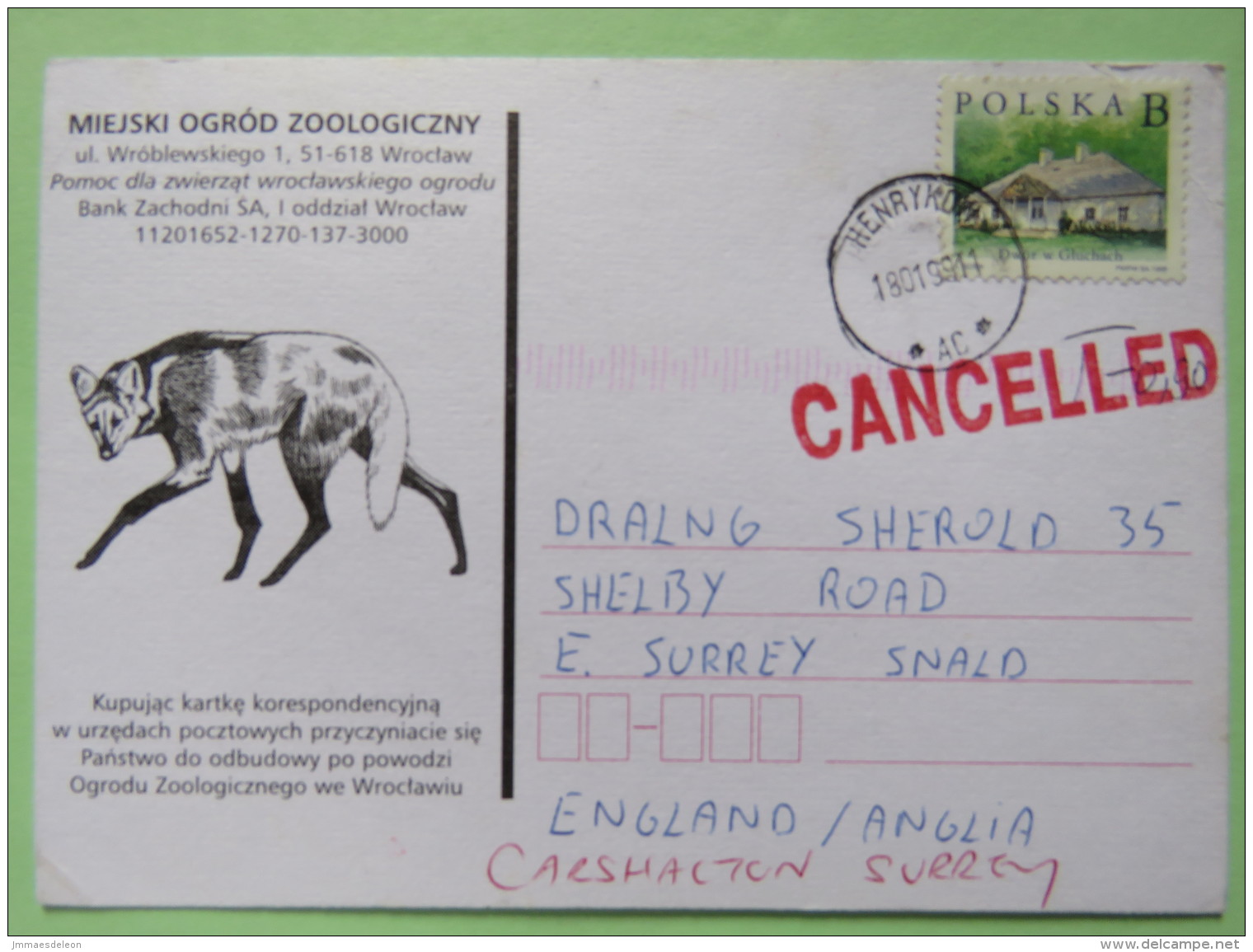 Poland 1999 Postcard Miejski Ogrod Zoo (fox ?) - Henrykow To England - Country Estates Gluchach - ""CANCELLED"" Cancel - Covers & Documents