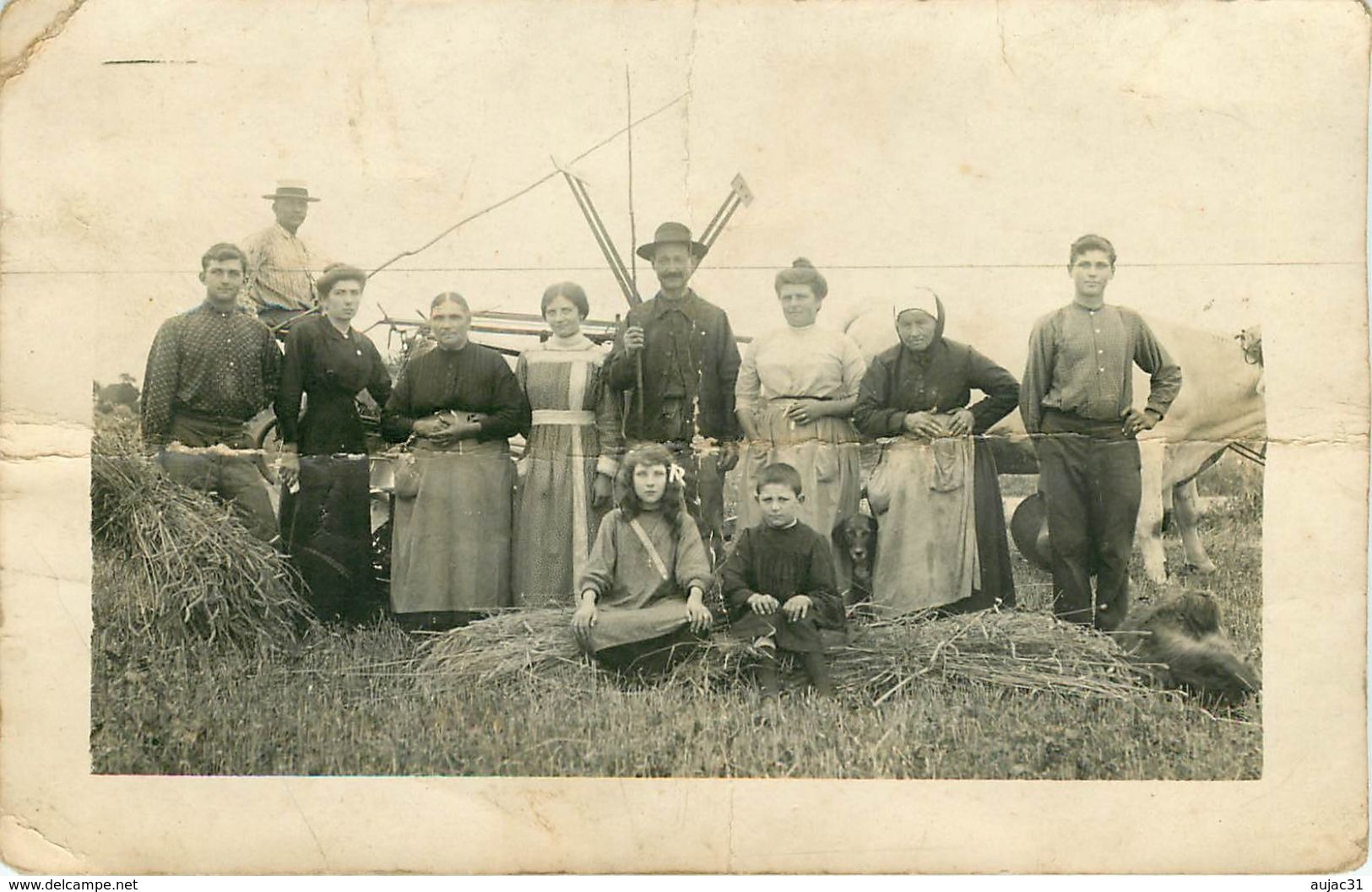 Agriculture - Attelage - Battage - Machine à Couper Le Blé - Carte Photo - A Identifier - état - Autres & Non Classés