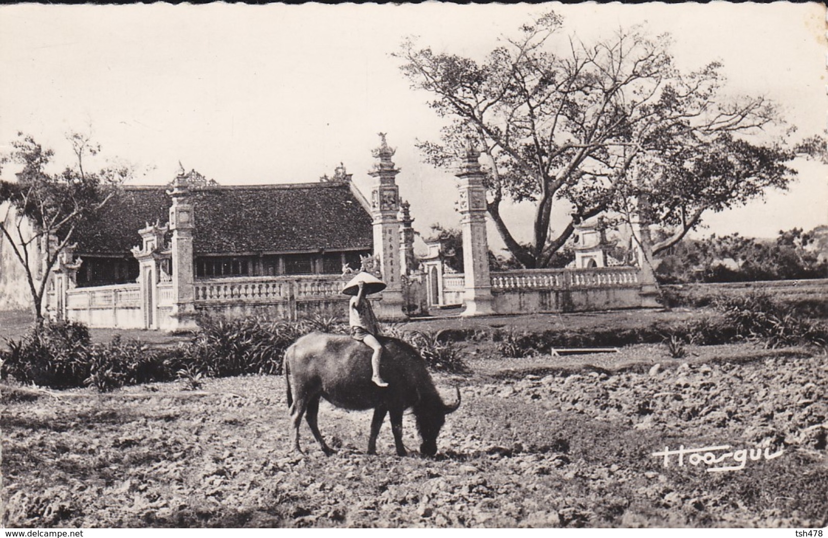 TONKIN----VIET-NAM  ?--enfant Gardant Son Buffle---voir 2 Scans - Laos