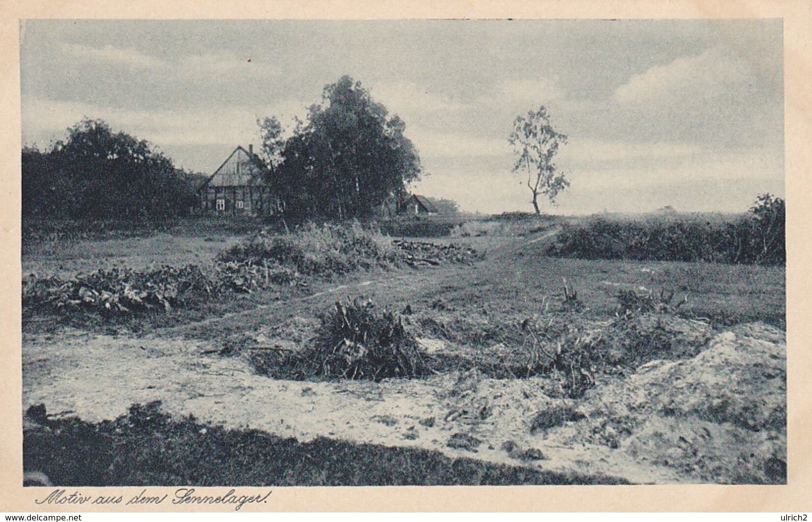 AK Paderborn - Motiv Aus Dem Sennelager - Ca. 1930 (29963) - Paderborn