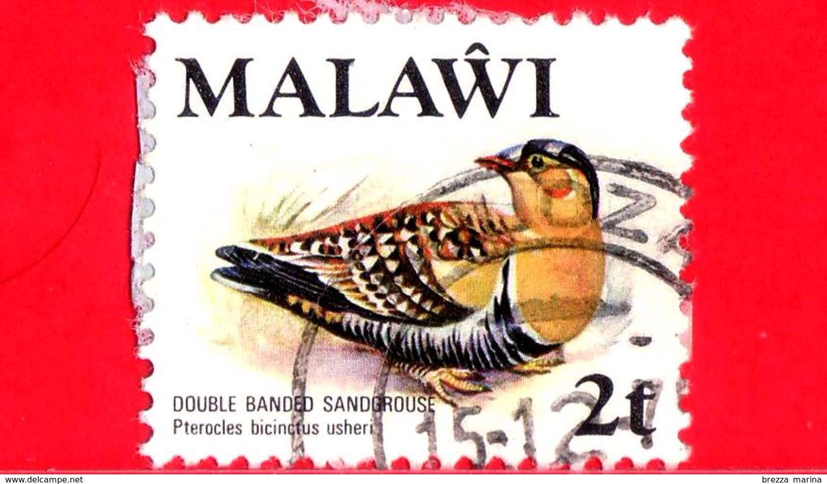 MALAWI - Usato - 1975 - Fauna - Uccelli - Double-banded Sandgrouse (Pterocles Bicinctus) - 2 - Malawi (1964-...)