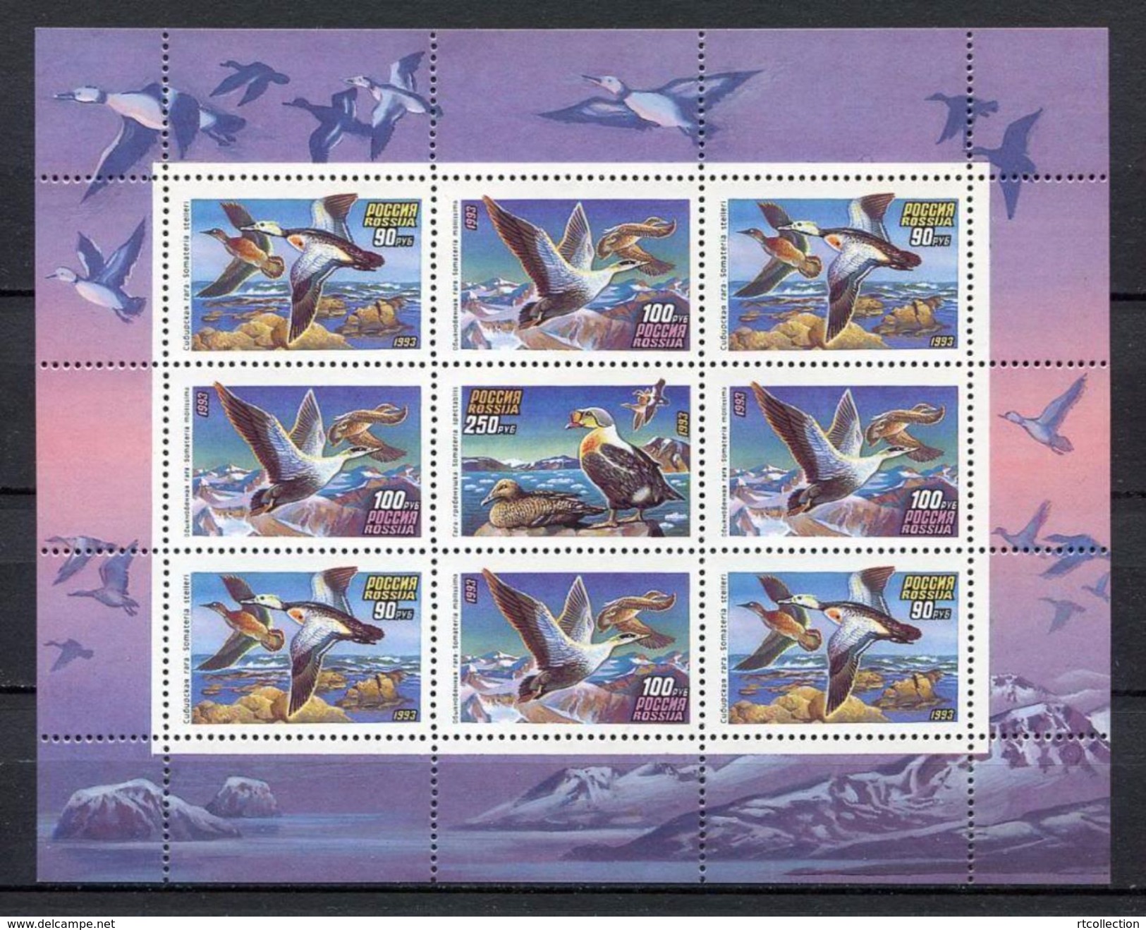 Russia 1993 S/S Ducks Duck Birds Bird Animals Animal Fauna Nature MNH Stamps Michel 320-322 Klb Scott#6157a - Sammlungen