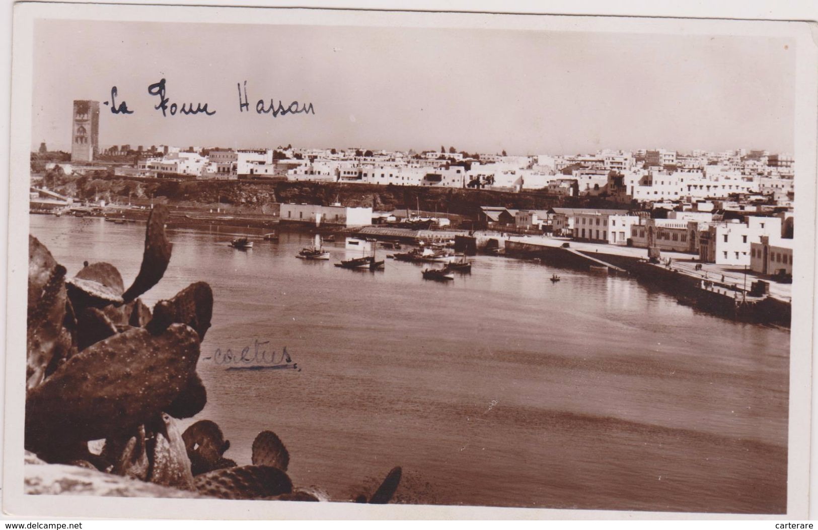 Cpa,MAROC,RABAT,le Port Avant L´indépendance En 1956,à Ses Débuts,ville Commerciale Et Industrielle,rare,cactus à Gauche - Rabat