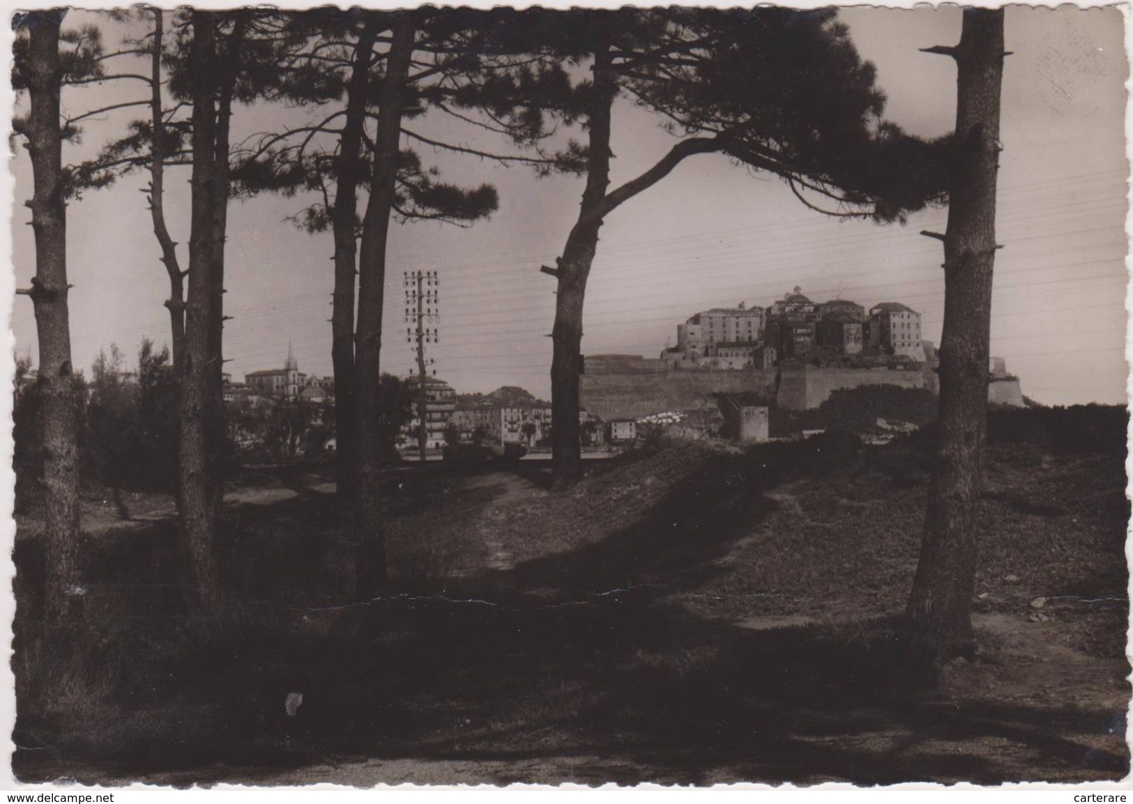 CORSE,CALVI,BALAGNE,VILLE DE RESISTANT ANTI FASCISTE,PENDANT LA GUERRE,carte Photo De TOMASI - Calvi