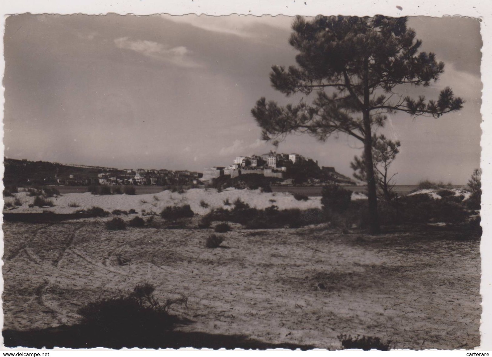 CORSE,CALVI,BALAGNE,VILLE DE RESISTANT ANTI FASCISTE,PENDANT LA GUERRE,carte Photo De TOMASI - Calvi