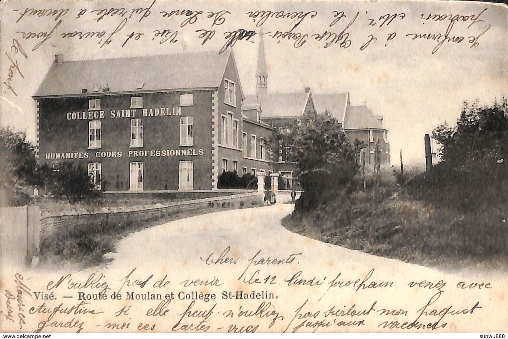 Visé - Route De Moulan Et Collège St-Hadelin (animée, 1902) - Visé