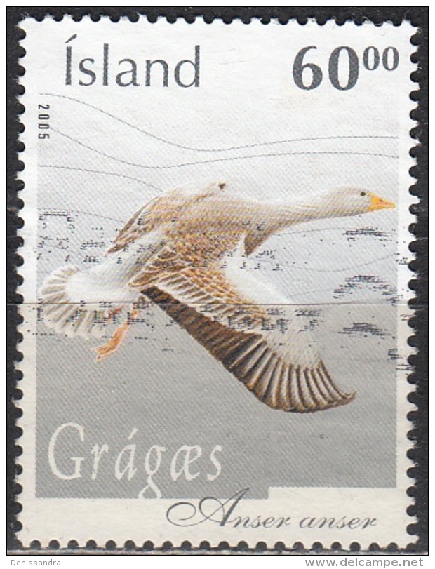 Island 2005 Michel 1111 O Cote (2013) 1.60 Euro Oiseau Oie Cendrée Cachet Rond - Usati