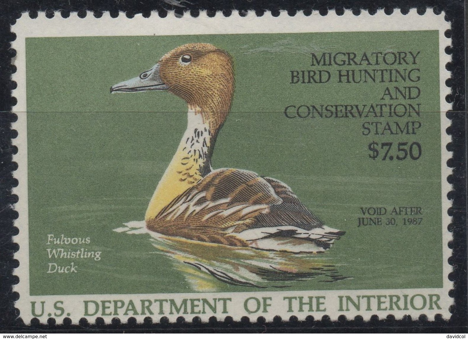 R267.-. USA- 1986- SC#: RW53- MNH - SCV:$12.00++ - HUNTING DUCK REVENUE ISSUE. FACIAL VALUE US$ 7.50 - Duck Stamps
