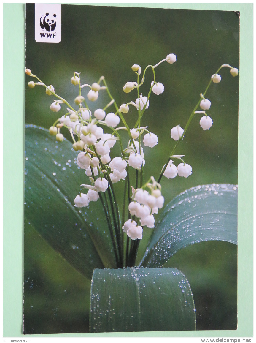 Finland 2001 Postcard ""Lily Of The Valley - WWF Panda Logo"" Helsinki To England - Tango - Covers & Documents