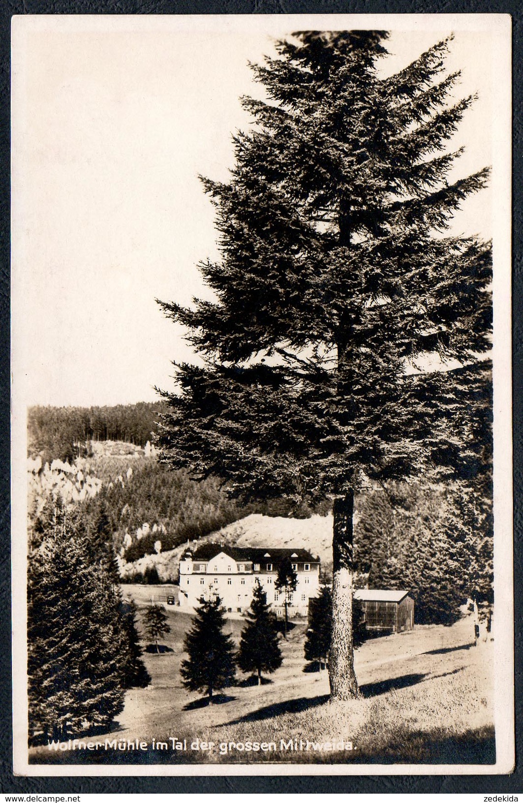 A5533 - Alte Foto Ansichtskarte - Mittweida - Wolfner Mühle - Landgraf - Mittweida