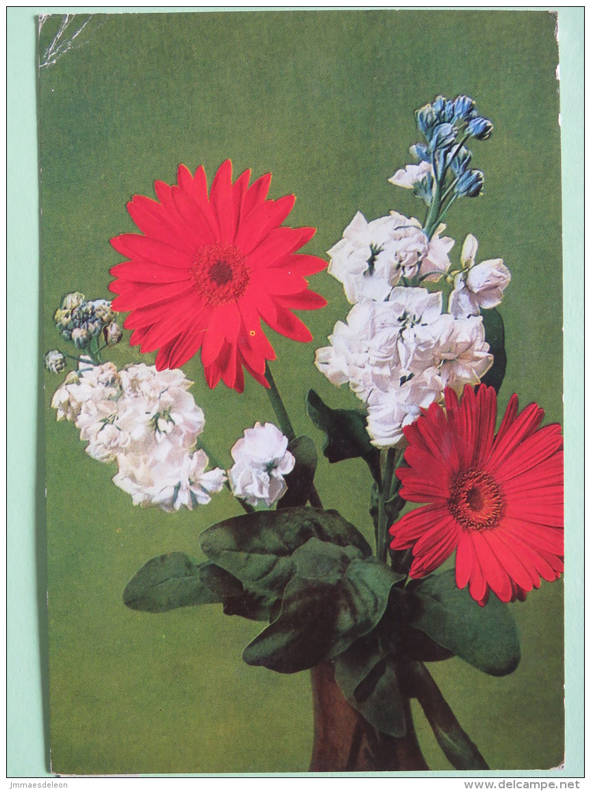 Poland 1999 Postcard ""flowers"" To England - Country Estates Bronowicach And Oblegorku - Poland