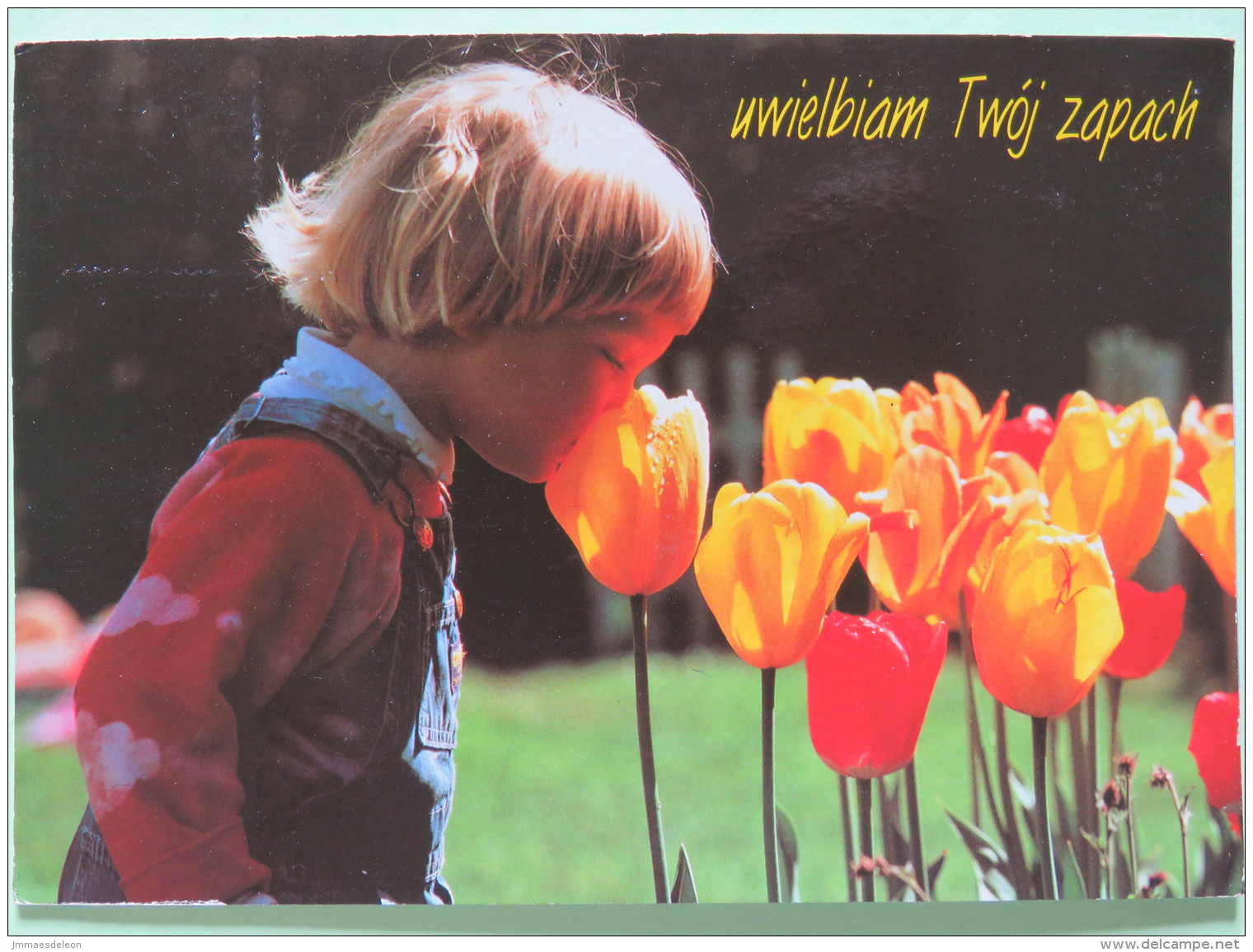 Poland 1999 Postcard ""kid Or Girl Smelling Tulip Flowers"" Katowice To England - Pinecones Pinus - Zodiac Taurus - Coun - Poland