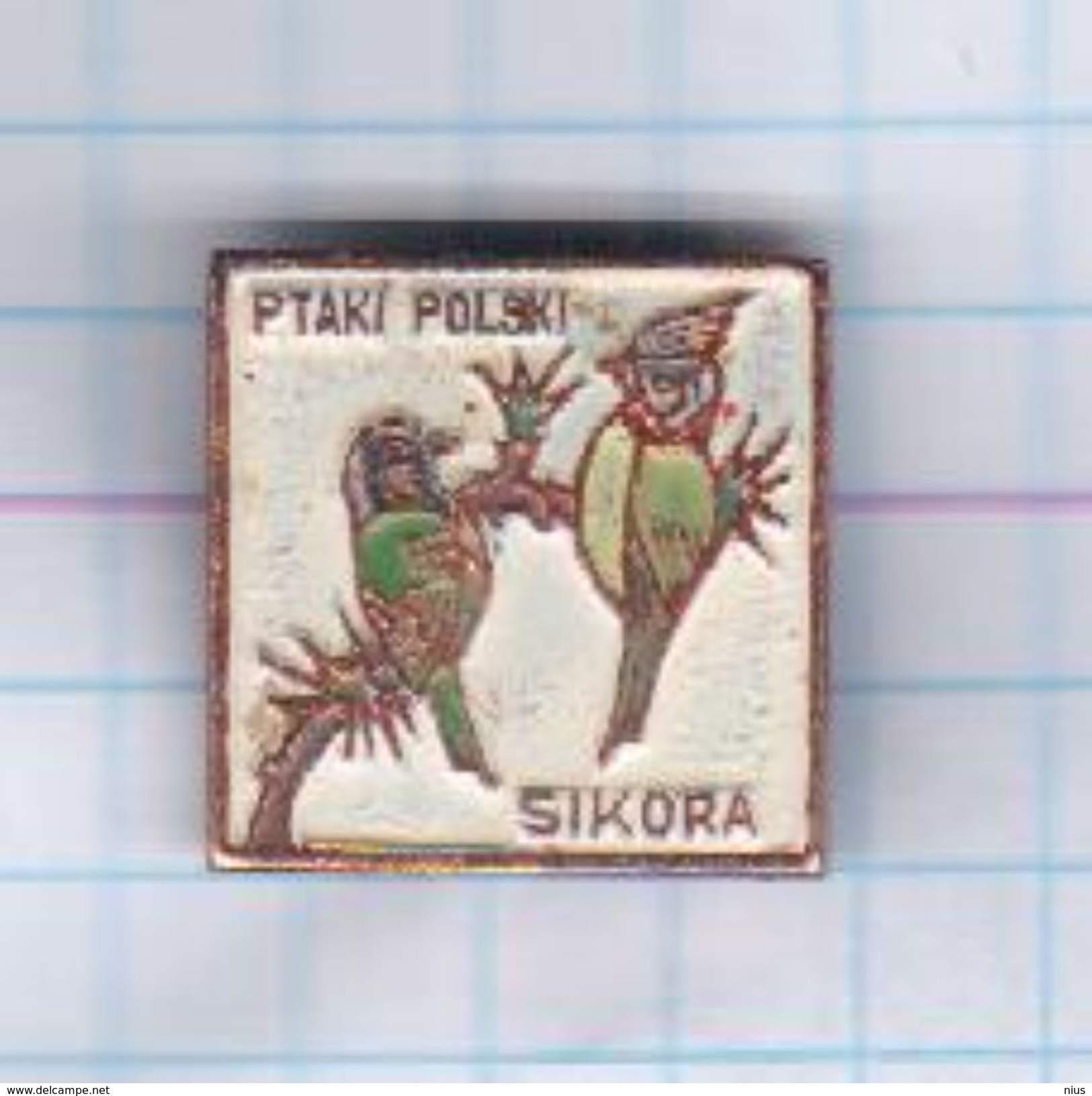 Poland Polska Bird Birds Tit Fauna - Tiere