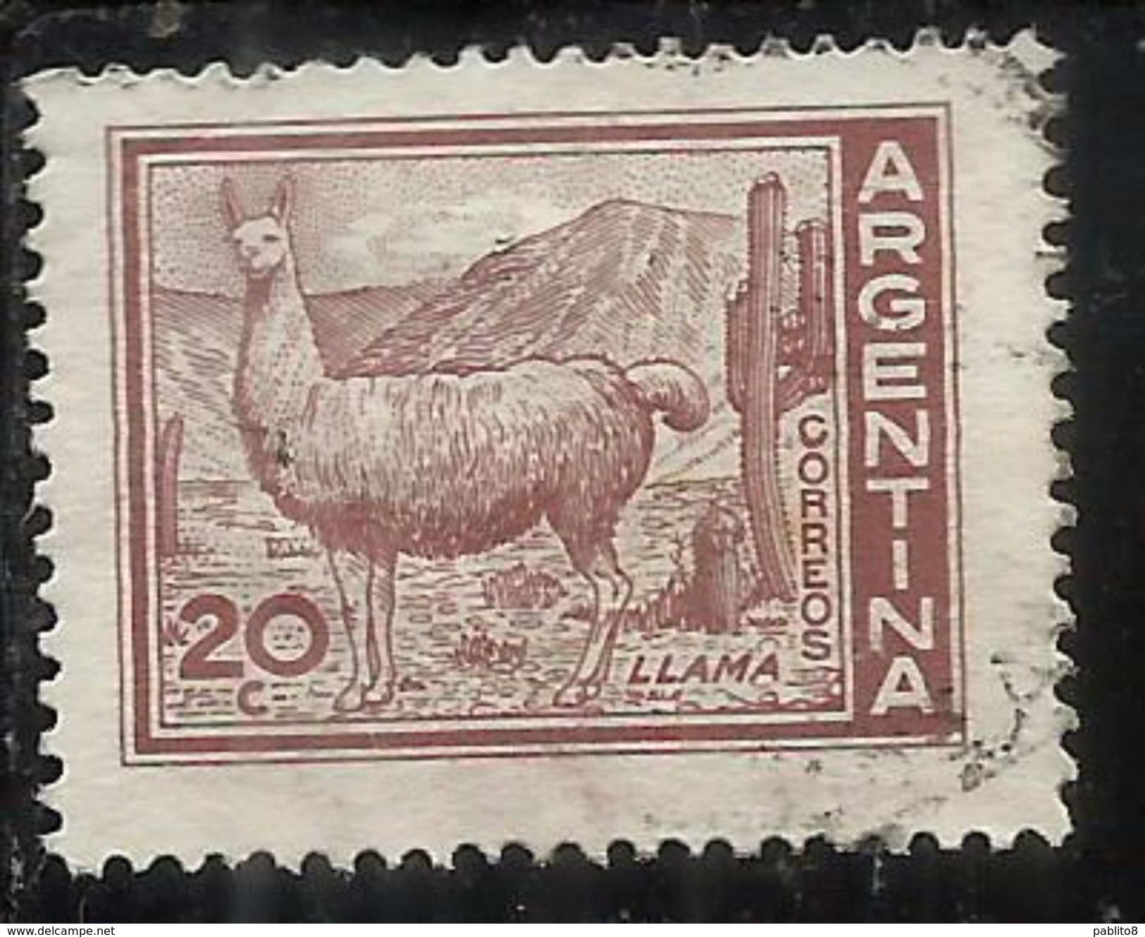 ARGENTINA 1959 1970 1961 LLAMA CENT. 20c USATO USED OBLITERE' - Usados