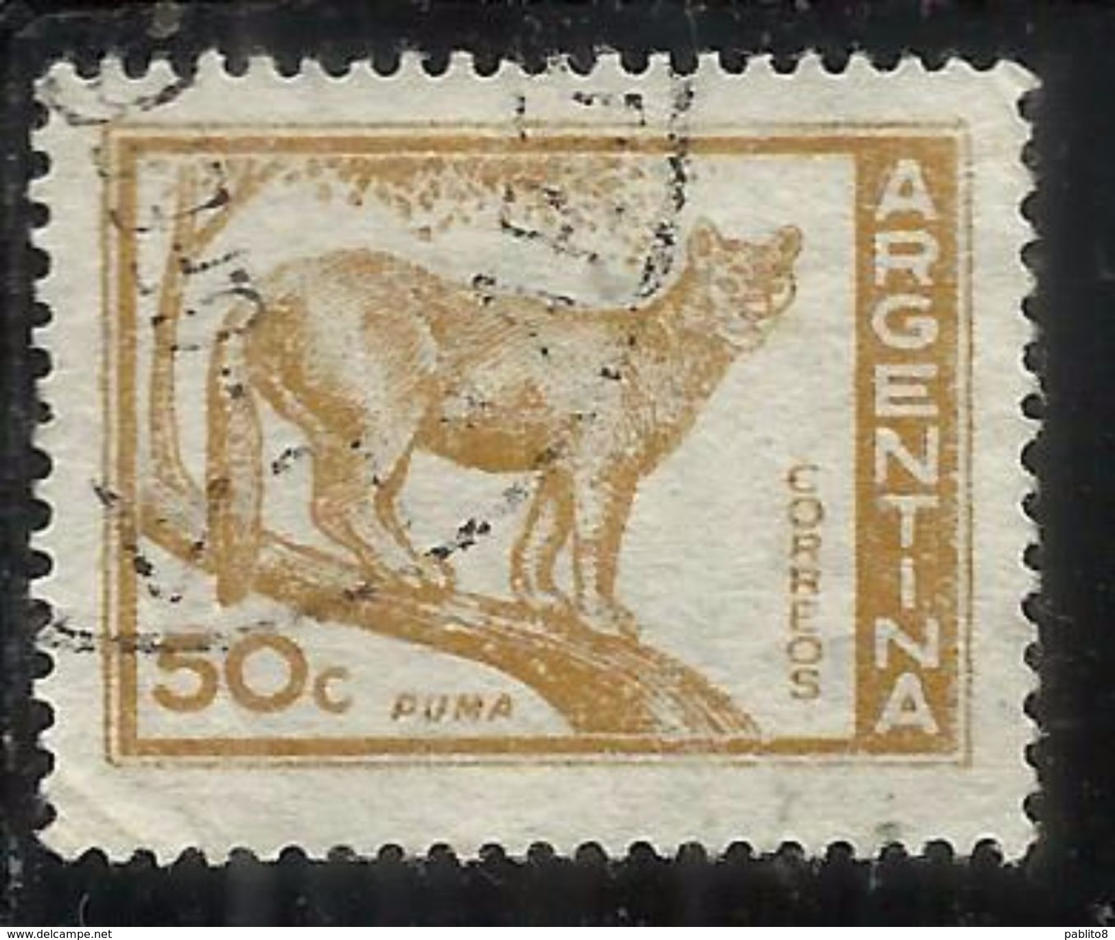 ARGENTINA 1959 1970 1960 PUMA CENT. 50c USATO USED OBLITERE' - Usati