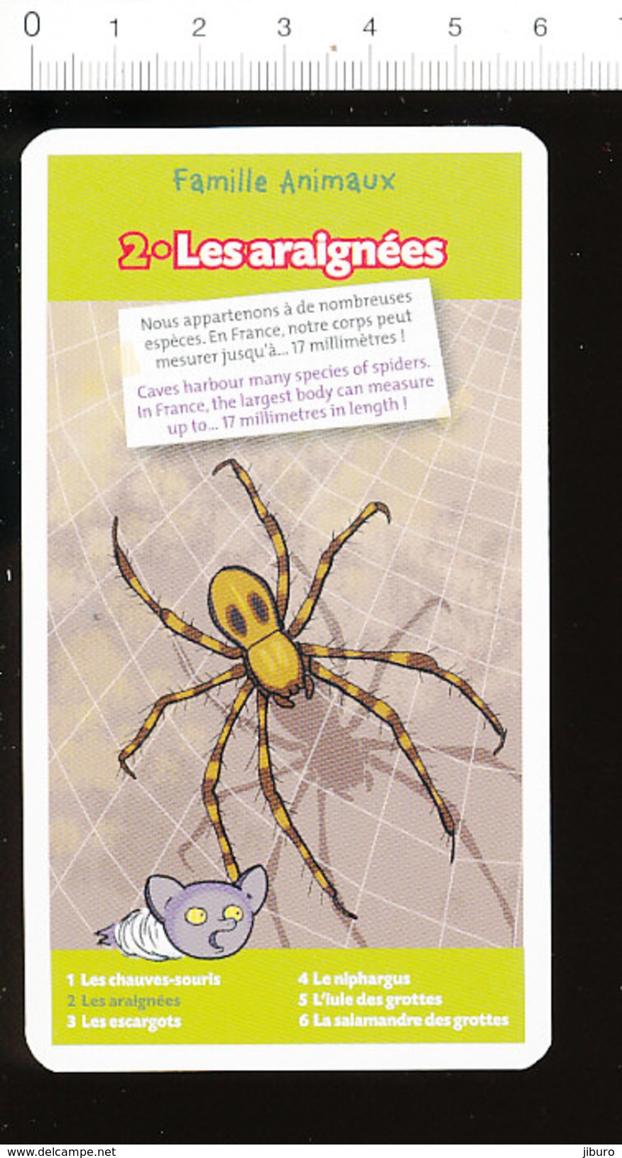 Araignée Animal Spider // IM 213/1 - Sonstige & Ohne Zuordnung