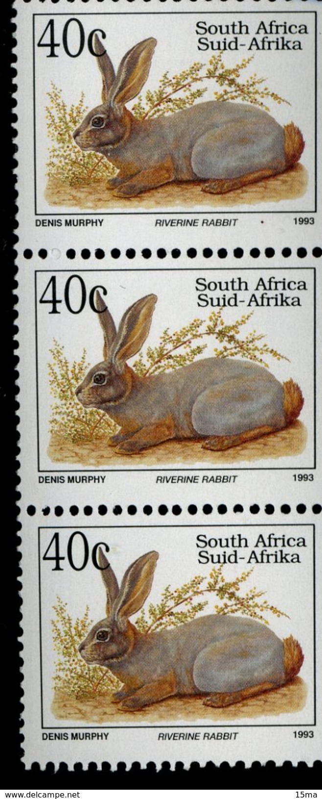 South Africa Riverine Rabbit SG809 1993 40c 3 Timbres Neufs - Neufs