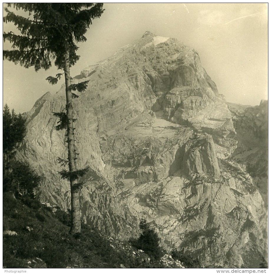 Italie Dolomites Mont Antelao Vue Du Refuge San Marco Ancienne Stereo Photo NPG 1900 - Stereoscopic