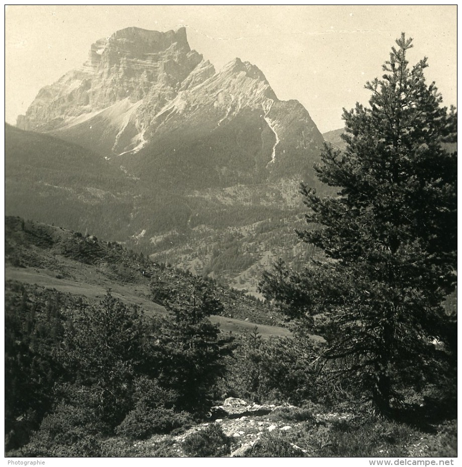 Italy Dolomites Alpes Ampezzan Le Mont Pelmo Ancienne Stereo Photo NPG 1900 - Fotos Estereoscópicas