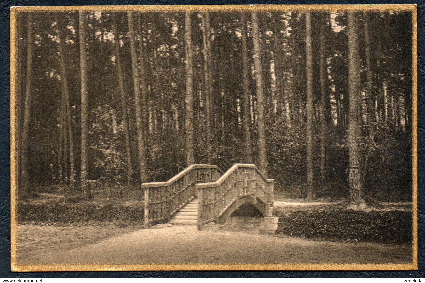 A5564 - Alte Ansichtskarte - Arnsorf In Sachsen - Partie Am Anstaltspark - Goldrand - Gel 1927 - Radeberg