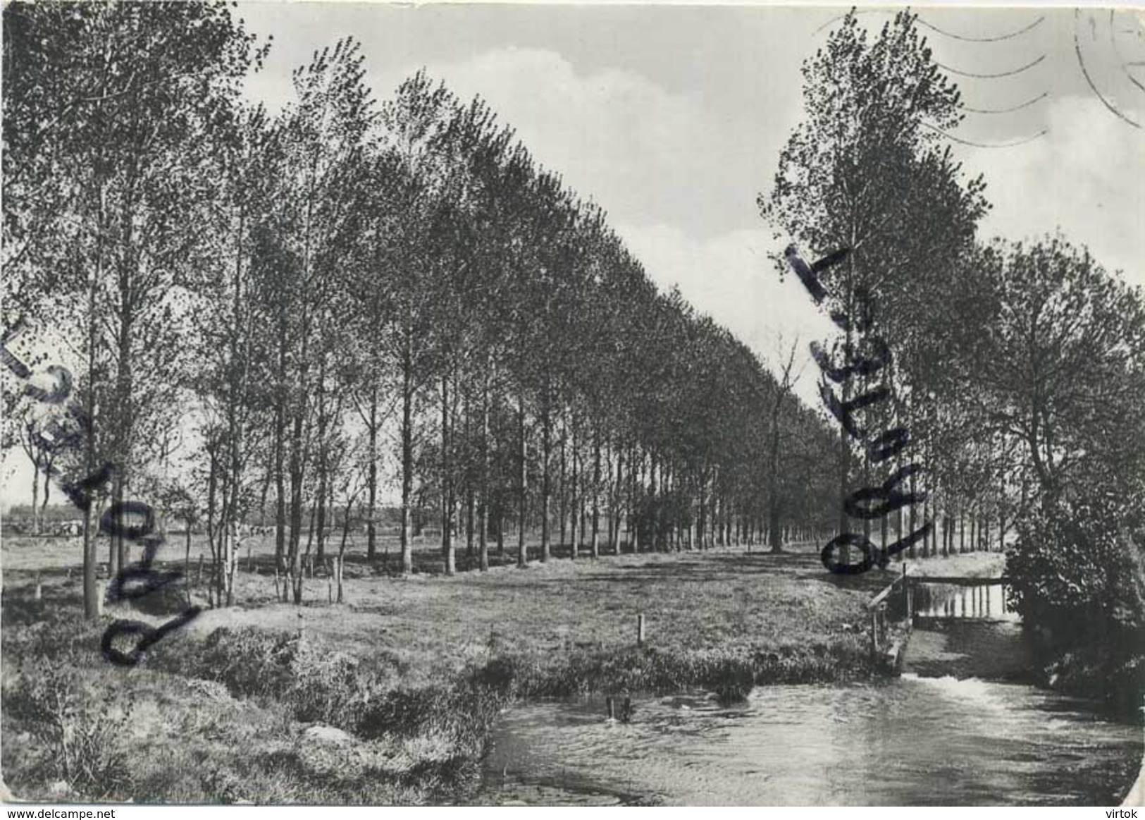 Dessel :  Oude Watermolen  -  Groot Formaat   (  Gescheven Met Zegel ) - Dessel