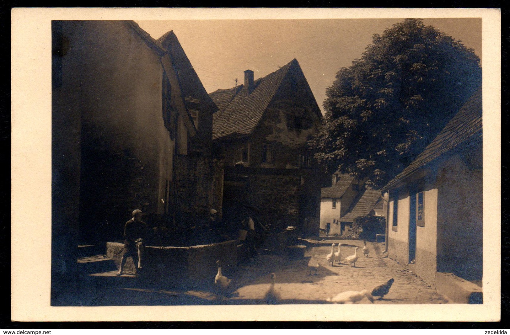 A5604 - Alte Foto Ansichtskarte - Dilsberg - Neckargemünd - Likuphof - 1927 - W. Ganske TOP - Neckargemuend