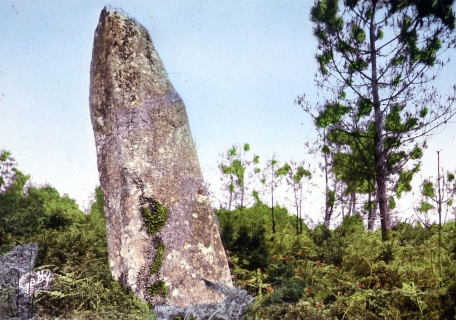 SAINT JEAN DE BREVELAY - Sonstige & Ohne Zuordnung